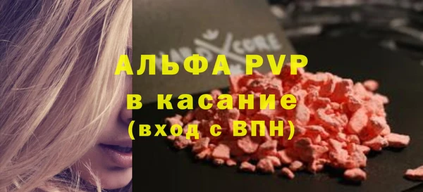 хмурый Верея