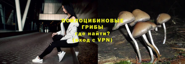 герыч Дегтярск