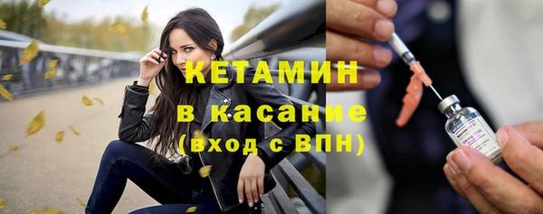 хмурый Верея