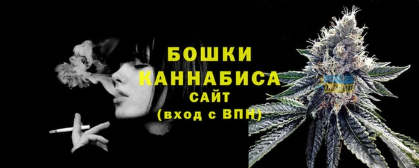 хмурый Верея