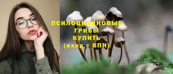 альфа пвп Верхнеуральск