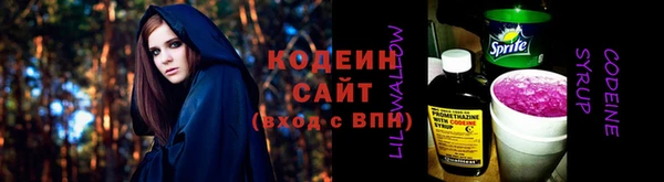 метадон Богданович
