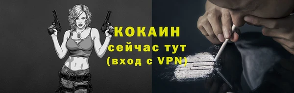 хмурый Верея