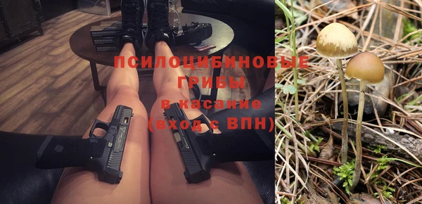 хмурый Верея