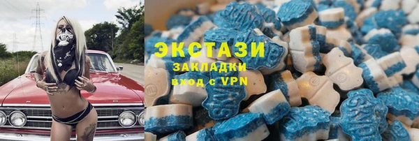 хмурый Верея